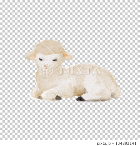 Lamb resting in a calm pose, soft watercolor painted in gentle neutral tones, ideal for nursery decor, childrens books, farm-themed designs, educational materials, and peaceful pastoral illustrations. 134892141