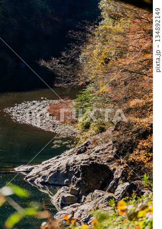 愛岐トンネル群 秋の特別公開 愛岐トンネル群 秋の特別公開 134892149
