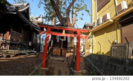 東京都品川区南品川 南品川諏訪神社の境内社 茶の木稲荷神社 東京都品川区南品川 南品川諏訪神社の境内社 茶の木稲荷神社 134892202