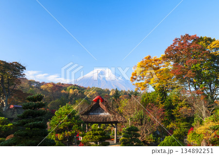 山梨県忍野村から望む富士山と紅葉 山梨県忍野村から望む富士山と紅葉 134892251