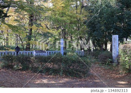 茨城県古河市公方公園の古河公方館跡 134892313