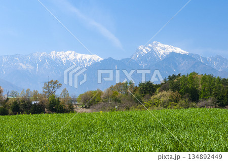 山梨県北杜市から望む甲斐駒ヶ岳 山梨県北杜市から望む甲斐駒ヶ岳 134892449