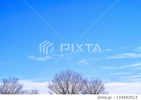 青空と雲イメージ 134892613