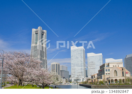 【横浜市】横浜みなとみらい21の街並み 【横浜市】横浜みなとみらい21の街並み 134892847