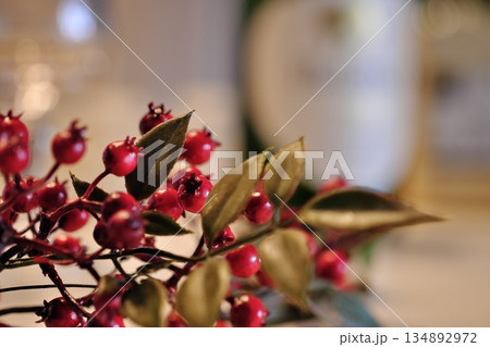 クリスマスイメージ クリスマスイメージ 134892972