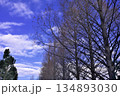 冬の青空と白い雲 134893030