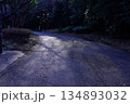 光が差し込む道 134893032