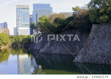 皇居外苑の石垣 皇居外苑の石垣 134893174