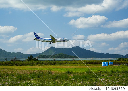 石垣空港に着陸するANA機 134893239