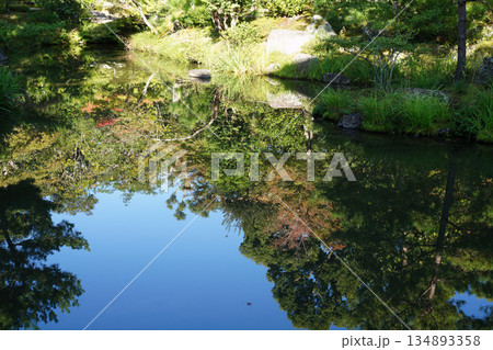 京都等持院の池に写った風景 134893358