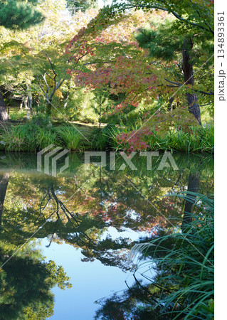 京都等持院の池に写った風景 134893361