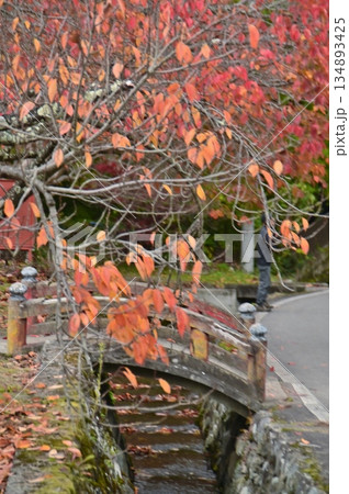 清水寺前の用水路の小さな太鼓橋 134893425