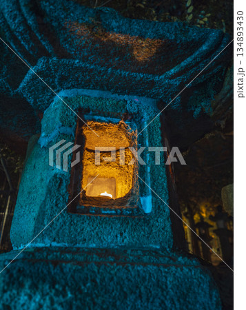 春日大社 闇夜に灯る幽玄な石灯籠 春日大社 闇夜に灯る幽玄な石灯籠 134893430