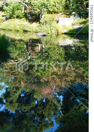 京都等持院の池に写った風景 134893561