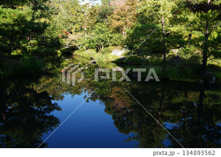 京都等持院の池に写った風景 京都等持院の池に写った風景 134893562
