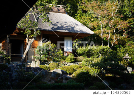 等持院の庭園の茶室 等持院の庭園の茶室 134893563