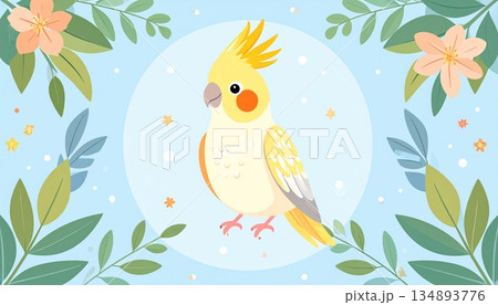 かわいい手乗りのオカメインコ 134893776