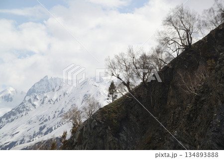 Zero Point is a viewpoint located in Sonamarg, Kashmir, India. Located at an altitude of 4,200 meters above sea level, it is known for its beautiful scenery of vast grasslands and snow-capped Himalaya 134893888