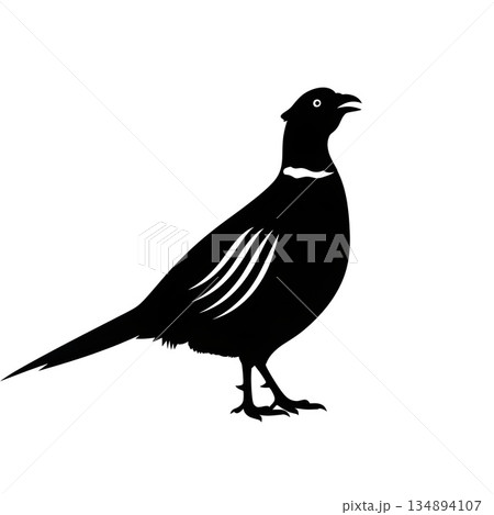 Black Pheasant Bird Silhouette 134894107
