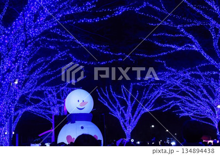東京都渋谷区の青の洞窟のブルーのイルミネーション 東京都渋谷区の青の洞窟のブルーのイルミネーション 134894438