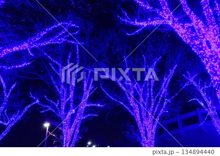 東京都渋谷区の青の洞窟のブルーのイルミネーション 134894440