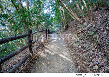 馬ヶ背遊歩道の風景（日向市） 134894655