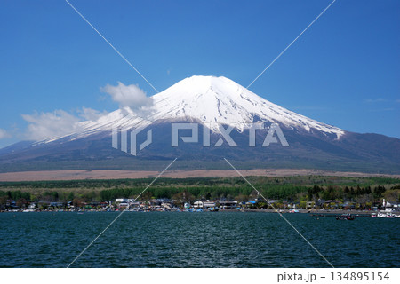 【山の風景】富士山（山中湖） 134895154