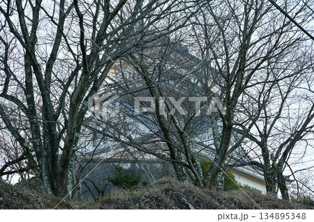 牛伏山展望台 牛伏山展望台 134895348