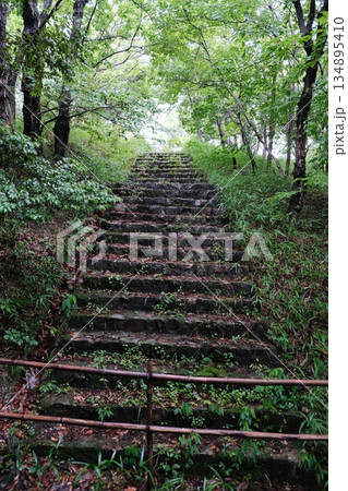 Ancient Stone Wall Covered In Lush Greenery Ancient Stone Wall Covered In Lush Greenery 134895410