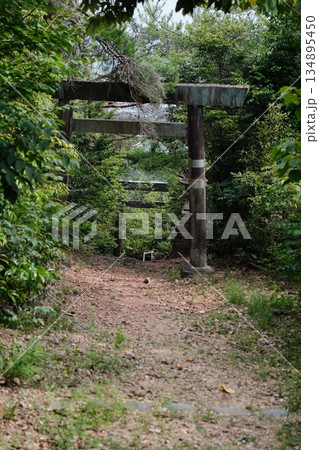 Greenery Envelops Abandoned Concrete Structure Greenery Envelops Abandoned Concrete Structure 134895450