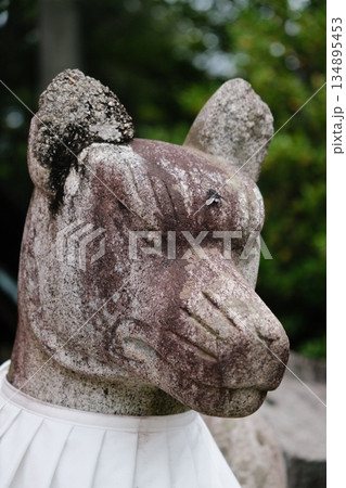 Ancient Stone Garden Gargoyle Head Detail Ancient Stone Garden Gargoyle Head Detail 134895453