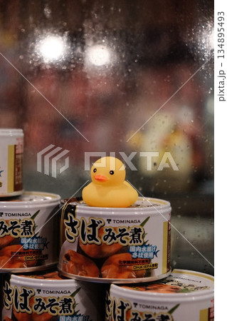Cute Rubber Duck Among Ramen Noodle Stacks Cute Rubber Duck Among Ramen Noodle Stacks 134895493
