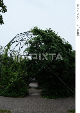 Green Vine Covered Garden Dome Structure 134895576