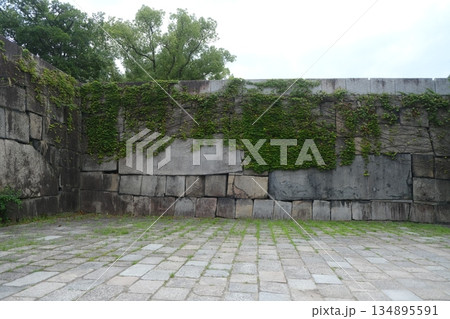 Ancient Stone Wall Covered In Green Ivy 134895591