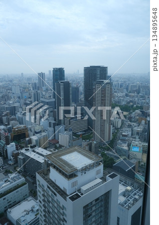Tokyo Skyline From High Vantage Point Tokyo Skyline From High Vantage Point 134895648