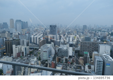 Tokyo Skyline Urban Landscape City View Tokyo Skyline Urban Landscape City View 134895736