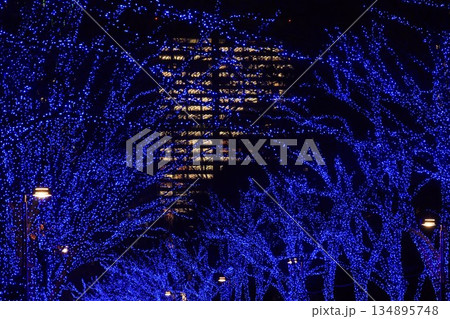 東京都渋谷区の青の洞窟のブルーのイルミネーション 134895748