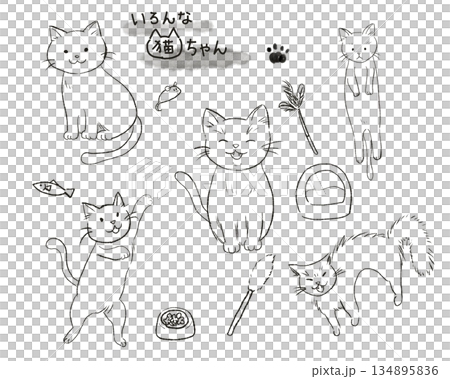 手描きのゆるい猫ちゃんセット 134895836
