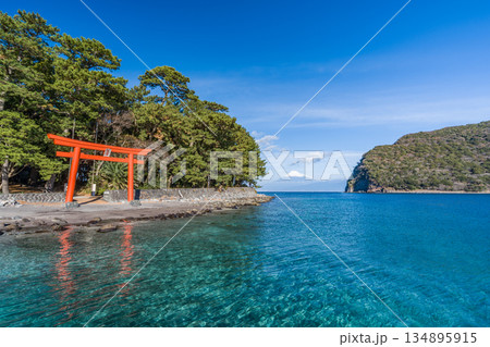 諸口神社　鳥居と駿河湾と富士山　「沼津市戸田」 134895915