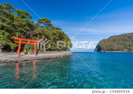 諸口神社　鳥居と駿河湾と富士山　「沼津市戸田」 134895916
