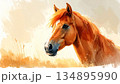 やさしい手描き風のかわいい馬のイラスト 134895990