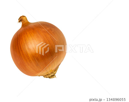 High-detail photo of common onion bulb isolated on white background with clipped path, no shadow, empty copy space for text. Blank for designing and creating artwork on culinary and vegetable topics High-detail photo of common onion bulb isolated on white background with clipped path, no shadow, empty copy space for text. Blank for designing and creating artwork on culinary and vegetable topics 134896055