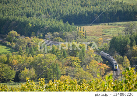 紅葉の狩勝峠を登るキハ261系の特急『おおぞら』 134896220