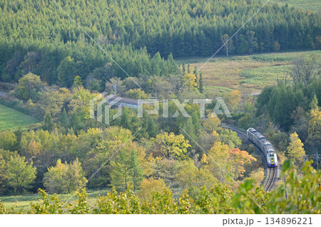 紅葉の狩勝峠を登るキハ261系の特急『とかち』 134896221
