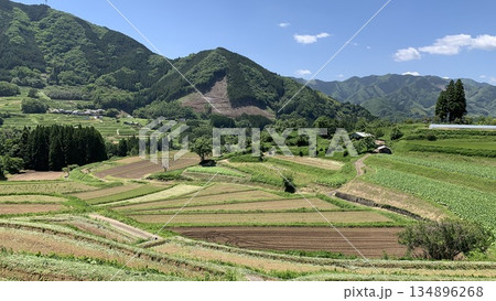 五月晴れの青空に映える栃又棚田〈宮崎県西臼杵郡高千穂町〉 五月晴れの青空に映える栃又棚田〈宮崎県西臼杵郡高千穂町〉 134896268