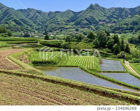 五月晴れの青空に映える栃又棚田〈宮崎県西臼杵郡高千穂町〉 五月晴れの青空に映える栃又棚田〈宮崎県西臼杵郡高千穂町〉 134896269