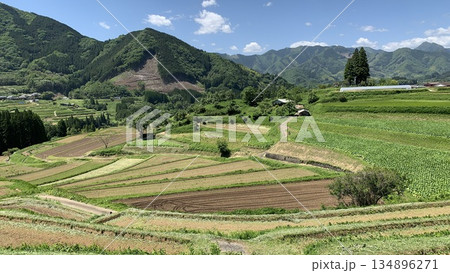 五月晴れの青空に映える栃又棚田〈宮崎県西臼杵郡高千穂町〉 五月晴れの青空に映える栃又棚田〈宮崎県西臼杵郡高千穂町〉 134896271