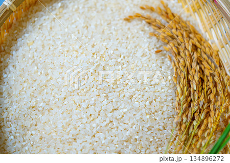 Rice grains in a wooden basket with a ear of rice. Healthy natural food in Korea 134896272