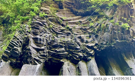 新緑に彩られた柱状節理の岩壁を見上げる〈高千穂峡(五ヶ瀬川)/宮崎県西臼杵郡高千穂町〉 新緑に彩られた柱状節理の岩壁を見上げる〈高千穂峡(五ヶ瀬川)/宮崎県西臼杵郡高千穂町〉 134896361
