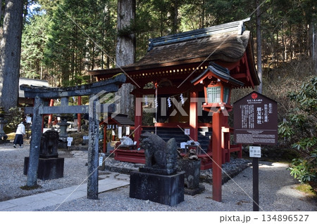 群馬県の日光二荒山神社境内の景色 134896527
